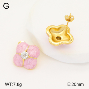 2E3003324bbov-434  Stainless Steel Earrings