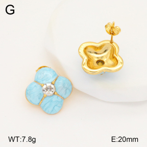2E3003325bbov-434  Stainless Steel Earrings