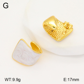2E3003326vbnl-434  Stainless Steel Earrings