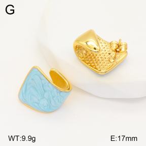 2E3003327vbnl-434  Stainless Steel Earrings