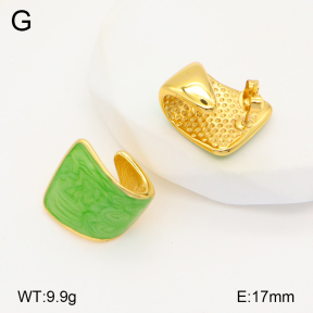 2E3003328vbnl-434  Stainless Steel Earrings