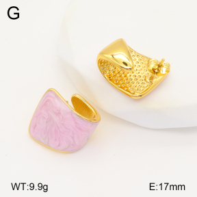 2E3003329vbnl-434  Stainless Steel Earrings