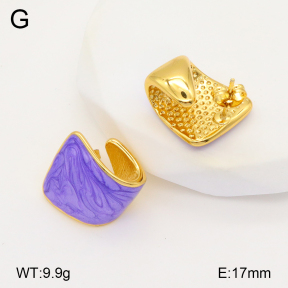 2E3003330vbnl-434  Stainless Steel Earrings