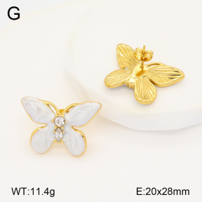 2E3003331bbov-434  Stainless Steel Earrings