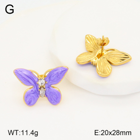 2E3003332bbov-434  Stainless Steel Earrings
