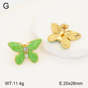 2E3003334bbov-434  Stainless Steel Earrings