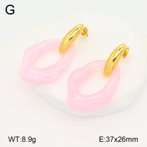 2E3003337bbov-434  Stainless Steel Earrings