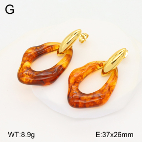 2E3003338bbov-434  Stainless Steel Earrings