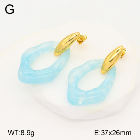 2E3003339bbov-434  Stainless Steel Earrings