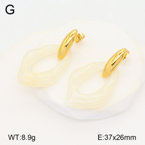 2E3003340bbov-434  Stainless Steel Earrings