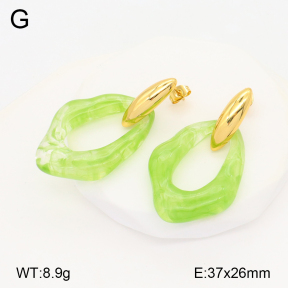 2E3003341bbov-434  Stainless Steel Earrings