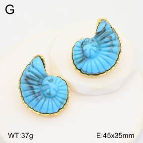2E3003344bhbl-434  Stainless Steel Earrings