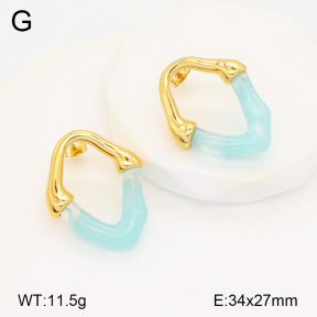 2E3003345bbov-434  Stainless Steel Earrings