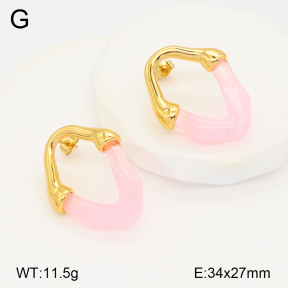 2E3003346bbov-434  Stainless Steel Earrings
