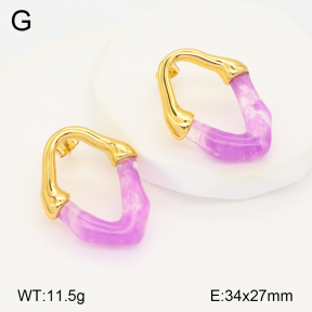 2E3003347bbov-434  Stainless Steel Earrings