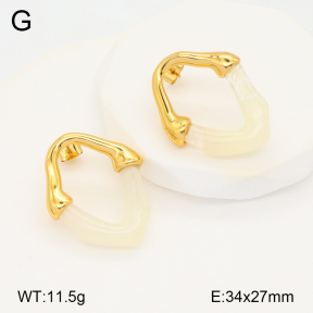 2E3003348bbov-434  Stainless Steel Earrings