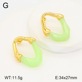 2E3003349bbov-434  Stainless Steel Earrings