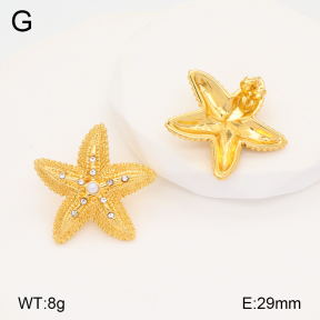 2E4004251vbmb-434  Stainless Steel Earrings