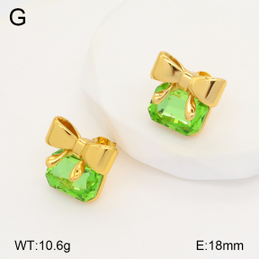 2E4004252bbov-434  Stainless Steel Earrings