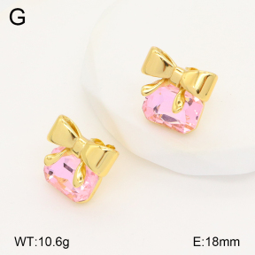 2E4004253bbov-434  Stainless Steel Earrings