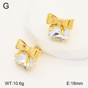 2E4004254bbov-434  Stainless Steel Earrings