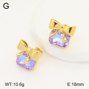 2E4004255bbov-434  Stainless Steel Earrings