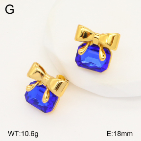 2E4004256bbov-434  Stainless Steel Earrings
