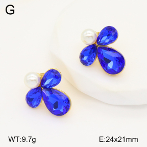 2E4004257bbov-434  Stainless Steel Earrings