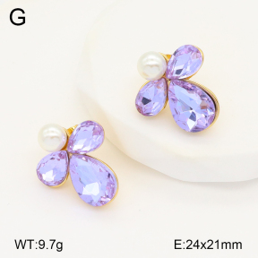 2E4004258bbov-434  Stainless Steel Earrings