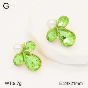 2E4004259bbov-434  Stainless Steel Earrings