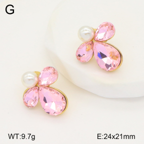2E4004260bbov-434  Stainless Steel Earrings