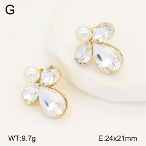2E4004261bbov-434  Stainless Steel Earrings