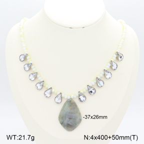 2N4004002aija-666  Stainless Steel Necklace