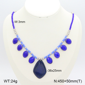 2N4004004aivb-666  Stainless Steel Necklace