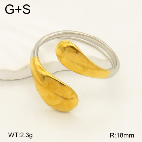 2R2001765baka-434  Stainless Steel Ring