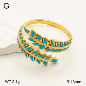 2R3000327ablb-434  Stainless Steel Ring