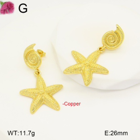 F2E201829ablb-J81  Fashion Copper Earrings