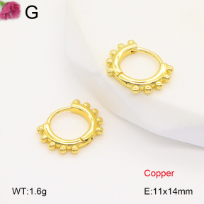 F2E201840vbnb-J147  Fashion Copper Earrings