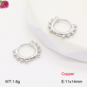 F2E201841vbnb-J147  Fashion Copper Earrings