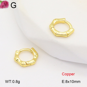 F2E201842vbnb-J147  Fashion Copper Earrings