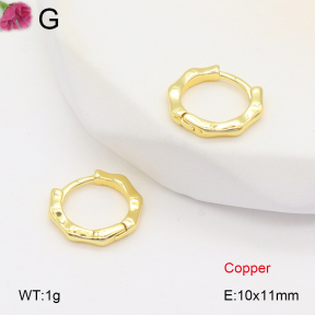 F2E201843vbnb-J147  Fashion Copper Earrings