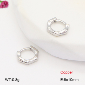F2E201844vbnb-J147  Fashion Copper Earrings