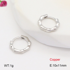 F2E201845vbnb-J147  Fashion Copper Earrings