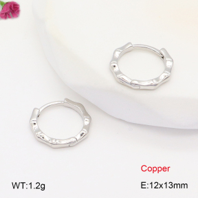F2E201846vbnb-J147  Fashion Copper Earrings