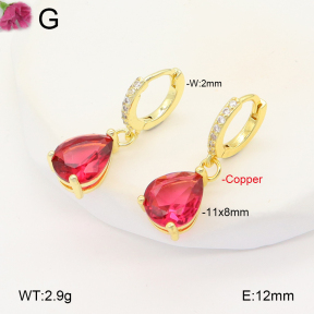 F2E401955vbpb-J147  Fashion Copper Earrings