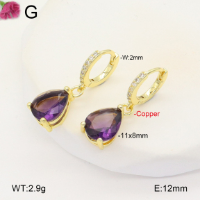 F2E401957vbpb-J147  Fashion Copper Earrings