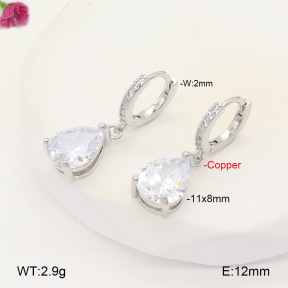 F2E401960vbpb-J147  Fashion Copper Earrings