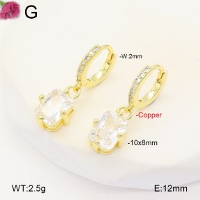F2E401962vbpb-J147  Fashion Copper Earrings