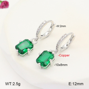 F2E401967vbpb-J147  Fashion Copper Earrings