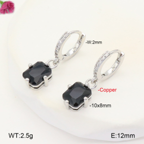 F2E401968vbpb-J147  Fashion Copper Earrings